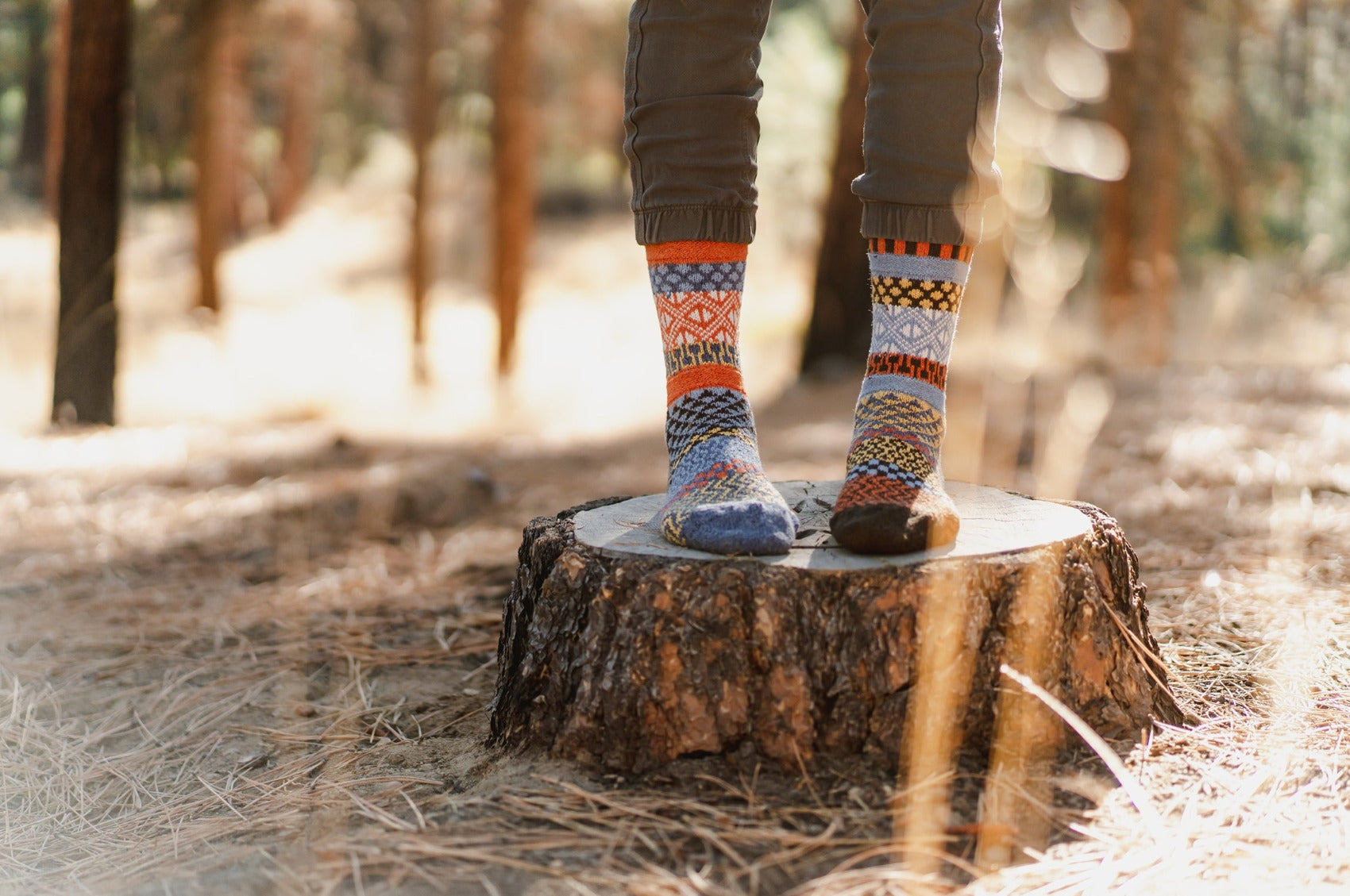 Ponderosa Wool Socks